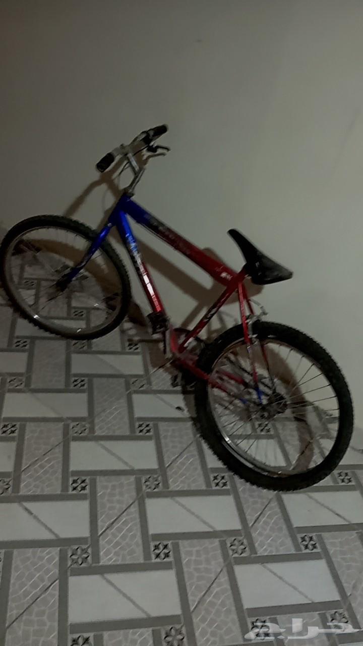 سيكل كوبرا مقاس 2464463019897731111