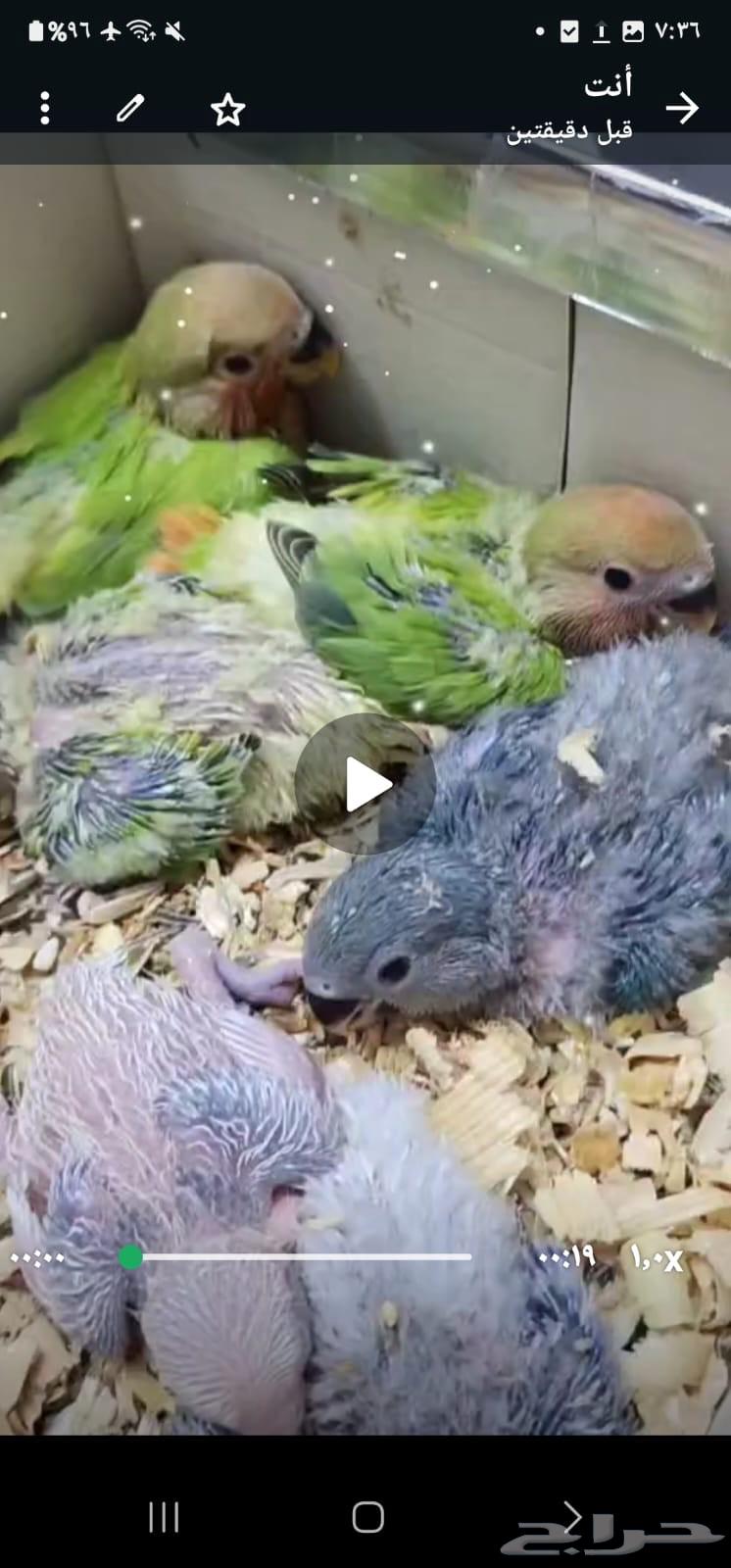 Sales form Masha Allah, God bless.. National Day offer..t64461856777217110