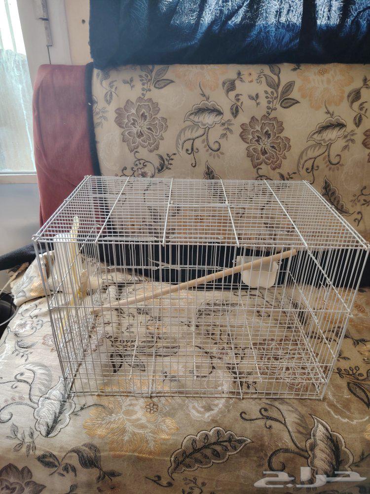 فقص عصافير كبير للبيع64458796031235110