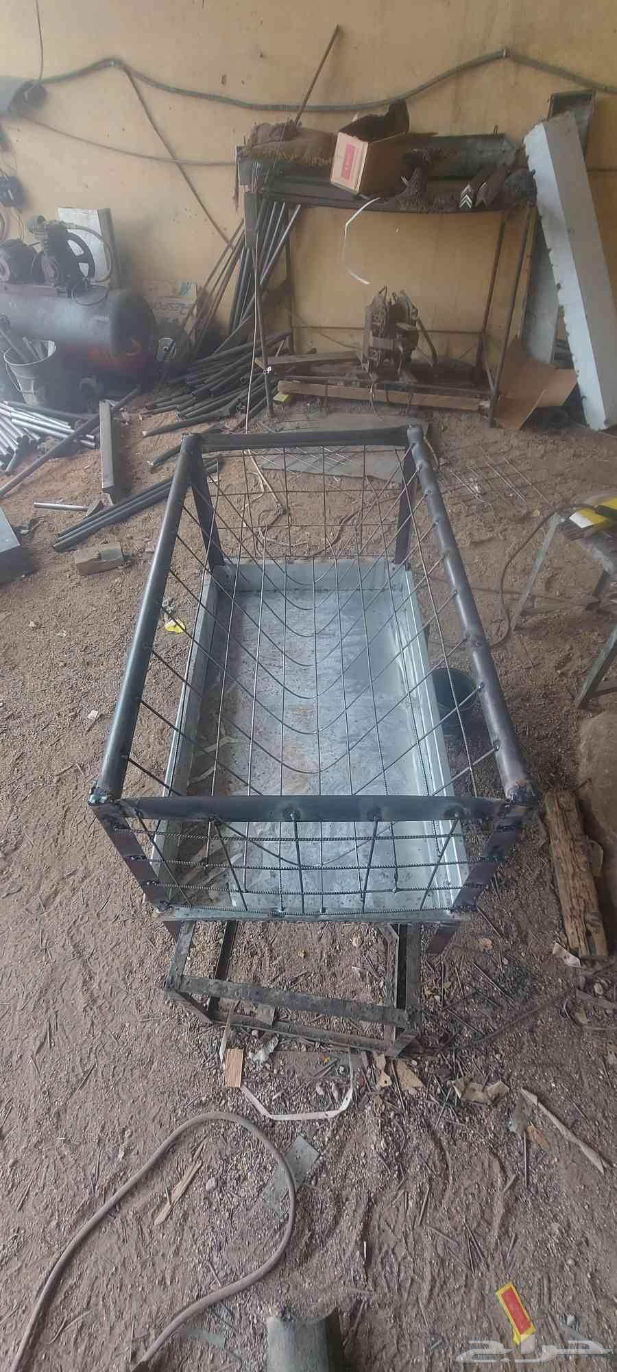 Sheep File 1 6064461282332801112