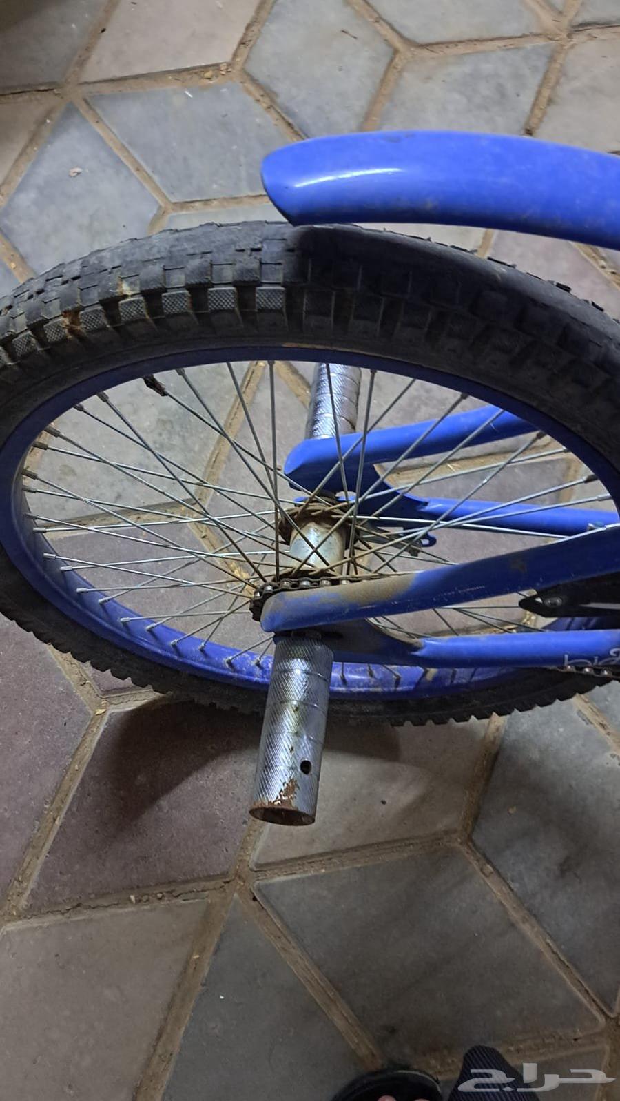 Cobra bike size 2064463503984259113