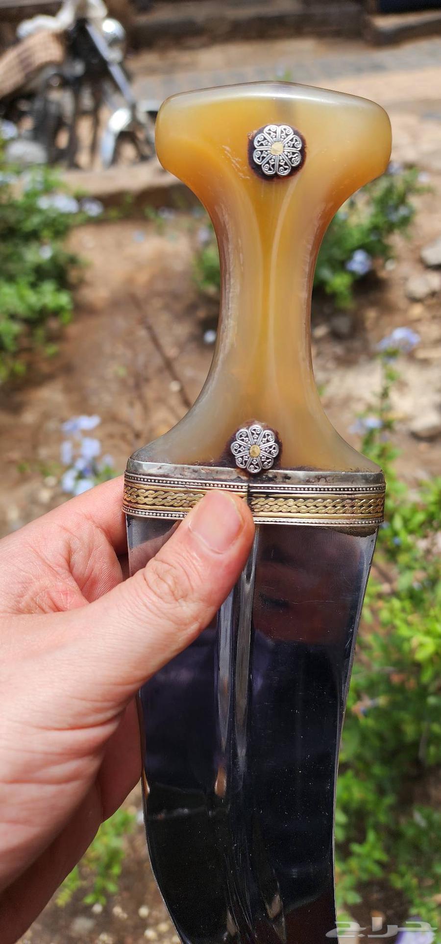 جنبيه صنعاني قرن بهيص64461309999746113