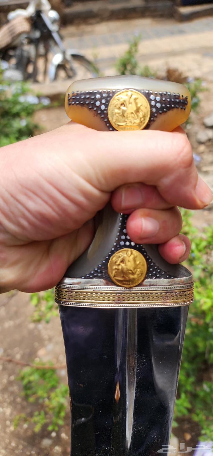 جنبيه صنعاني قرن بهيص64461309999746114