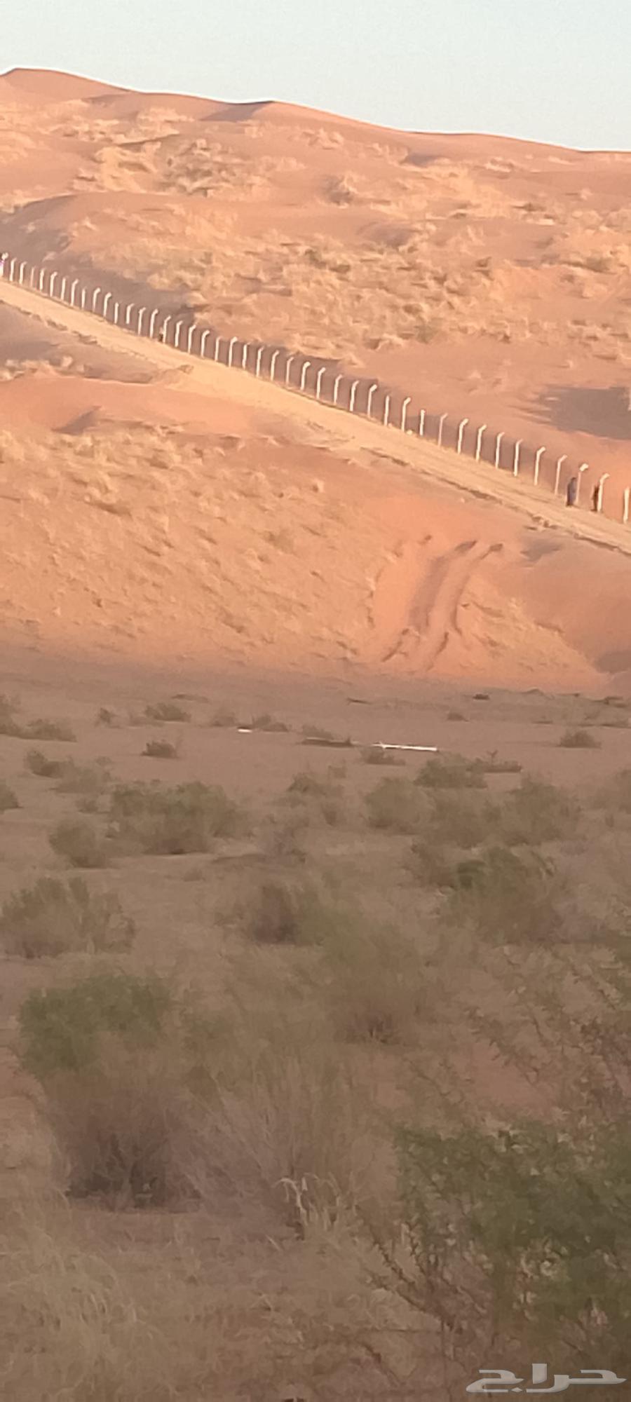 شبوك مزارع64403916258433114