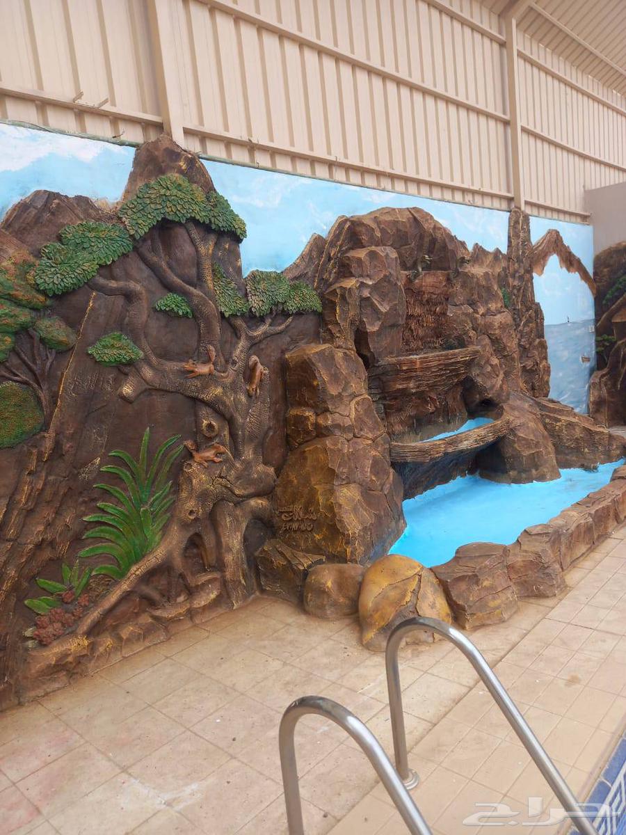 تنسيق حدائق الرياض64201900276609114