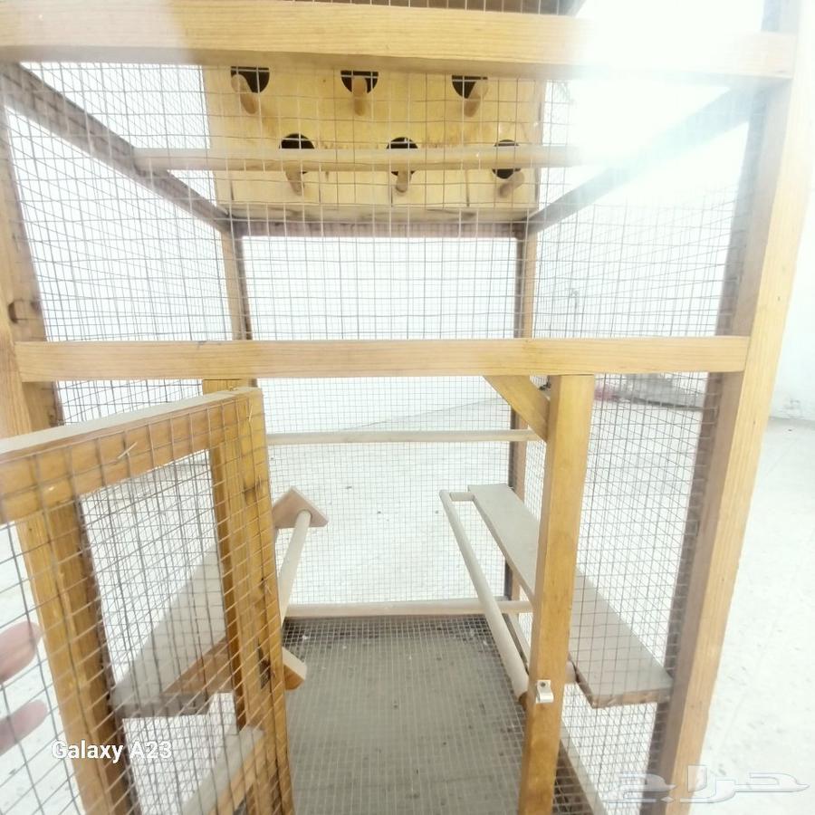 قفص انتاج طيور الحب64461357505794111