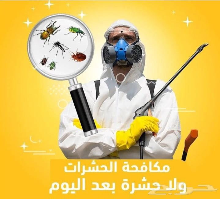 Pest control company in Mecca cockroach spraying index